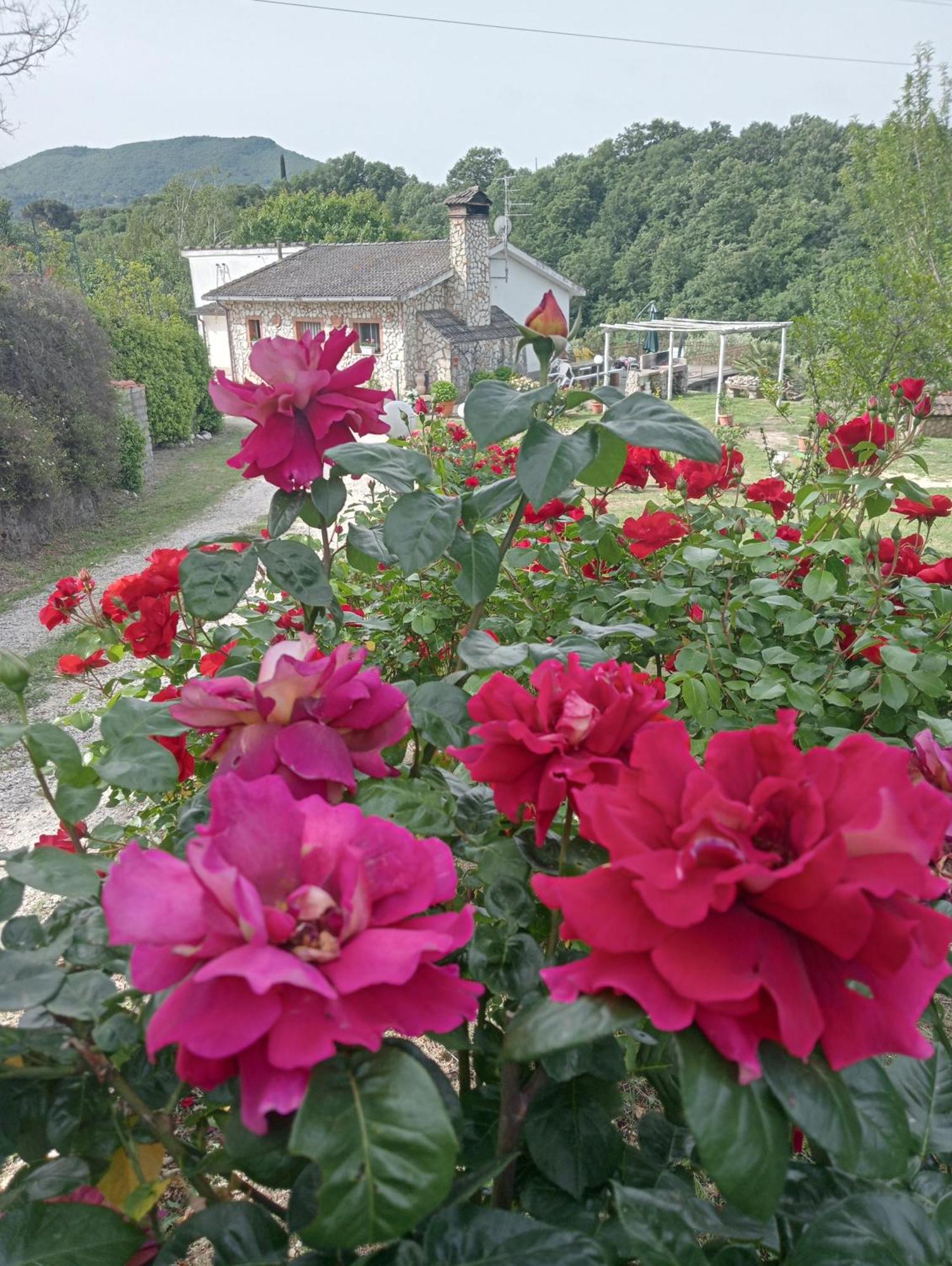 Alloggio Turistico Viterbo Dış mekan fotoğraf